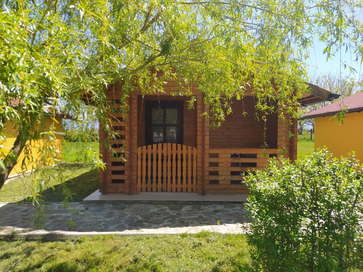 Villa Hanul Arcasului Voila Exterior foto